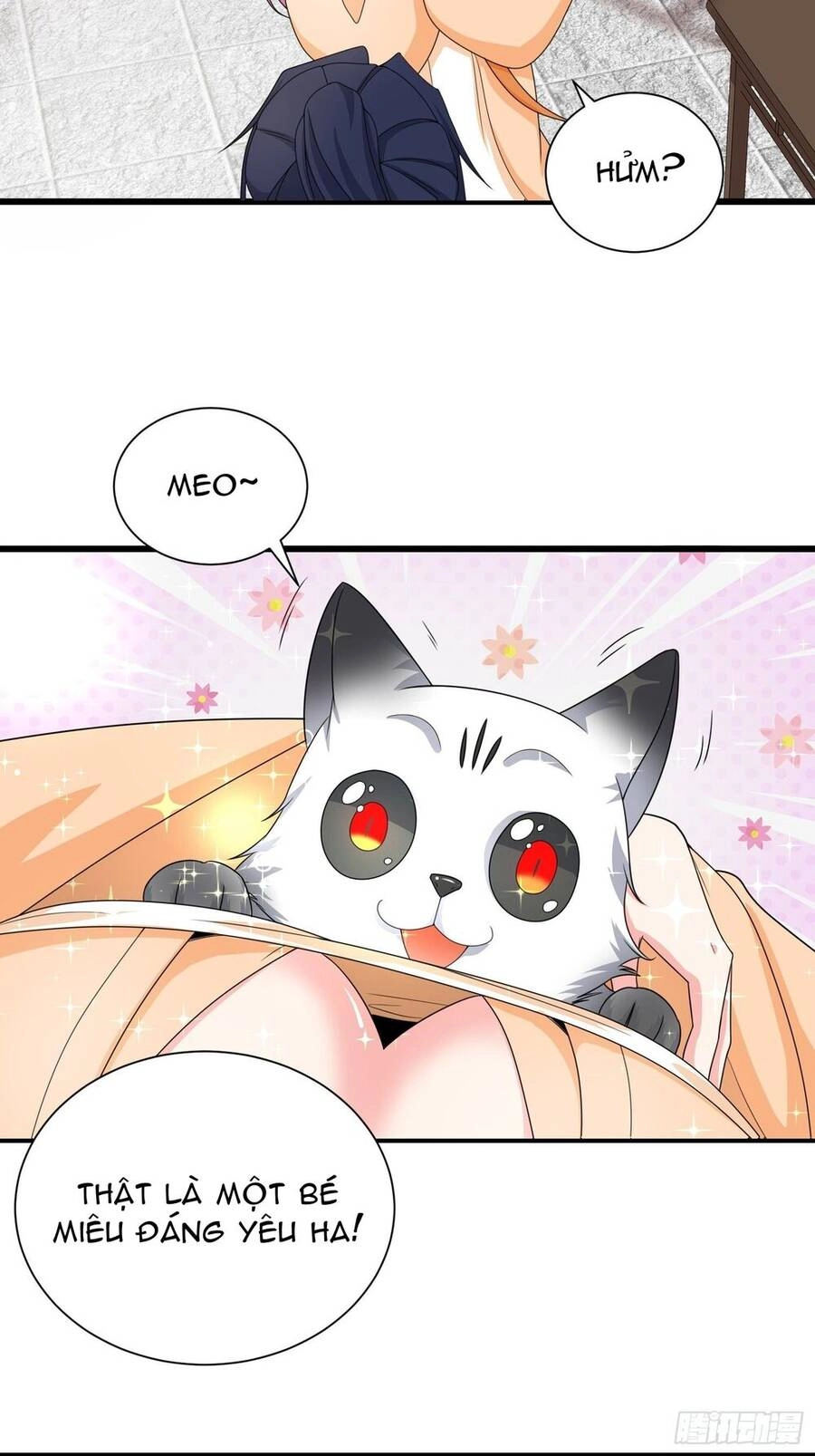 Người Ở Rể Bị Ép Thành Phản Diện Chapter 329 - 13