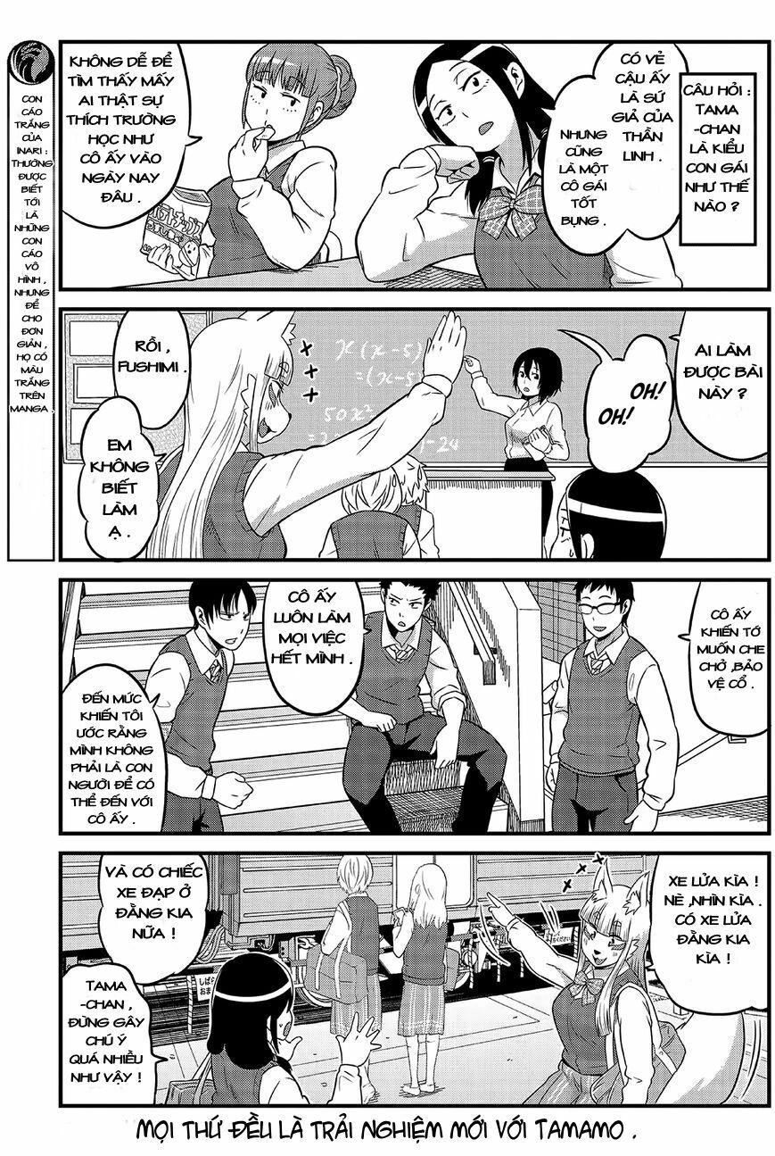 High School Inari Tamamo-Chan Chapter 1 - 9