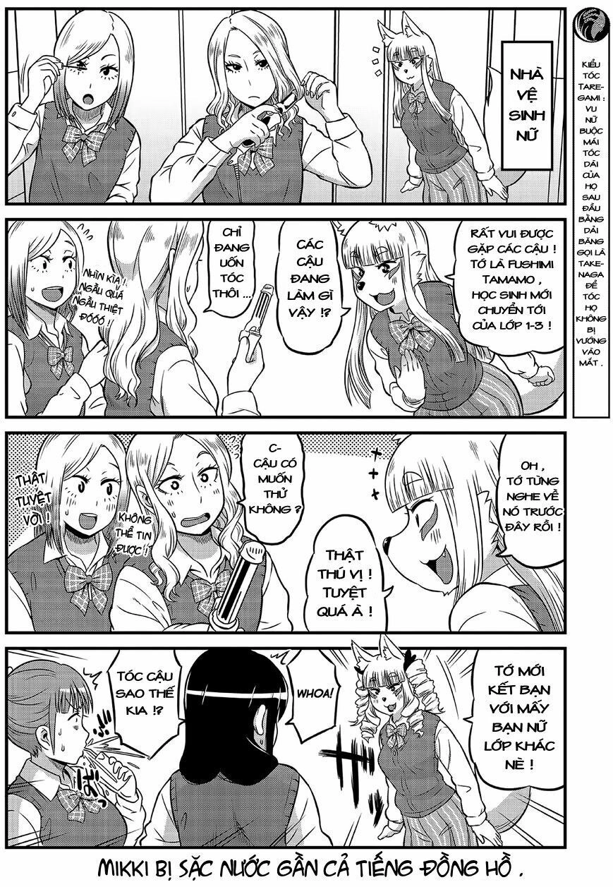 High School Inari Tamamo-Chan Chapter 4 - 5