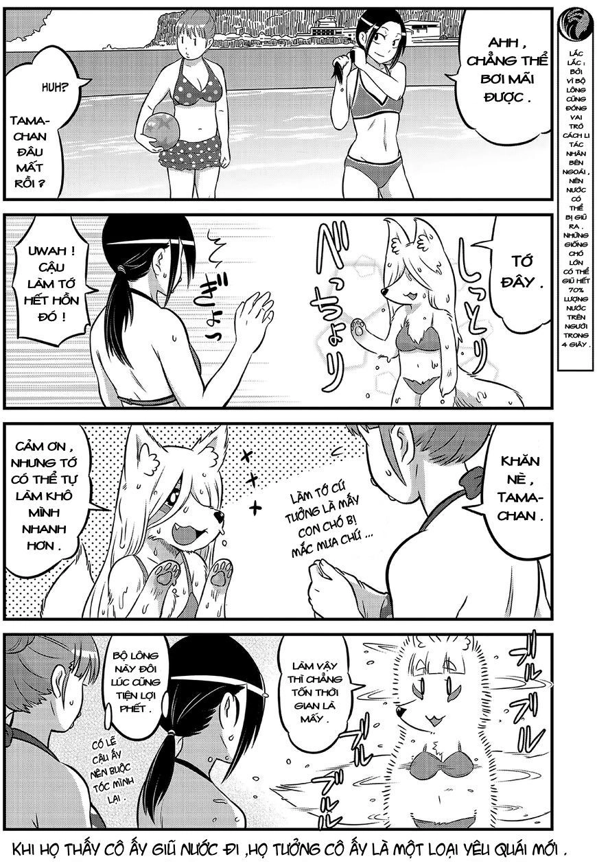 High School Inari Tamamo-Chan Chapter 14 - 7