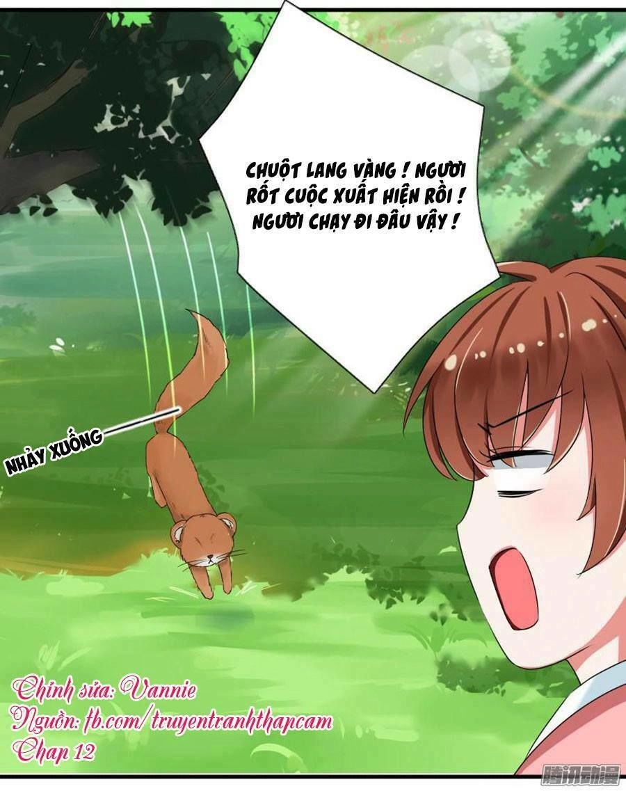 Nhật Ký Nuôi Dưỡng Công Chúa Chapter 12 - 1