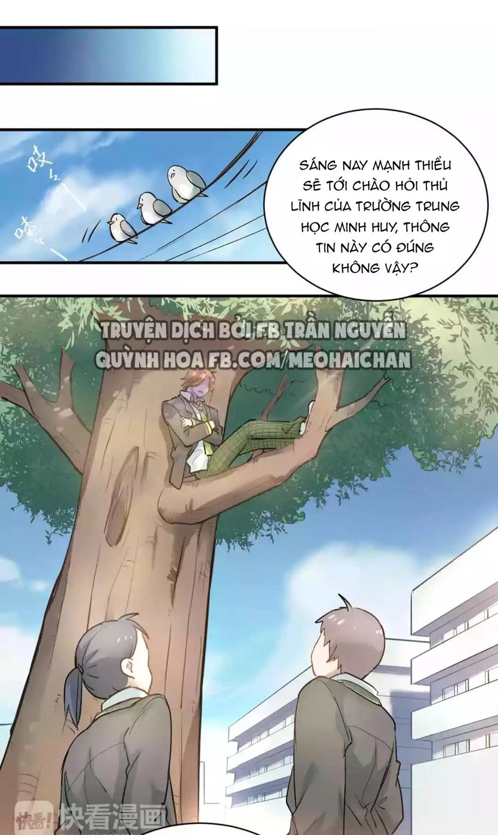 Đầu Gấu Biết Yêu Chapter 3 - 32