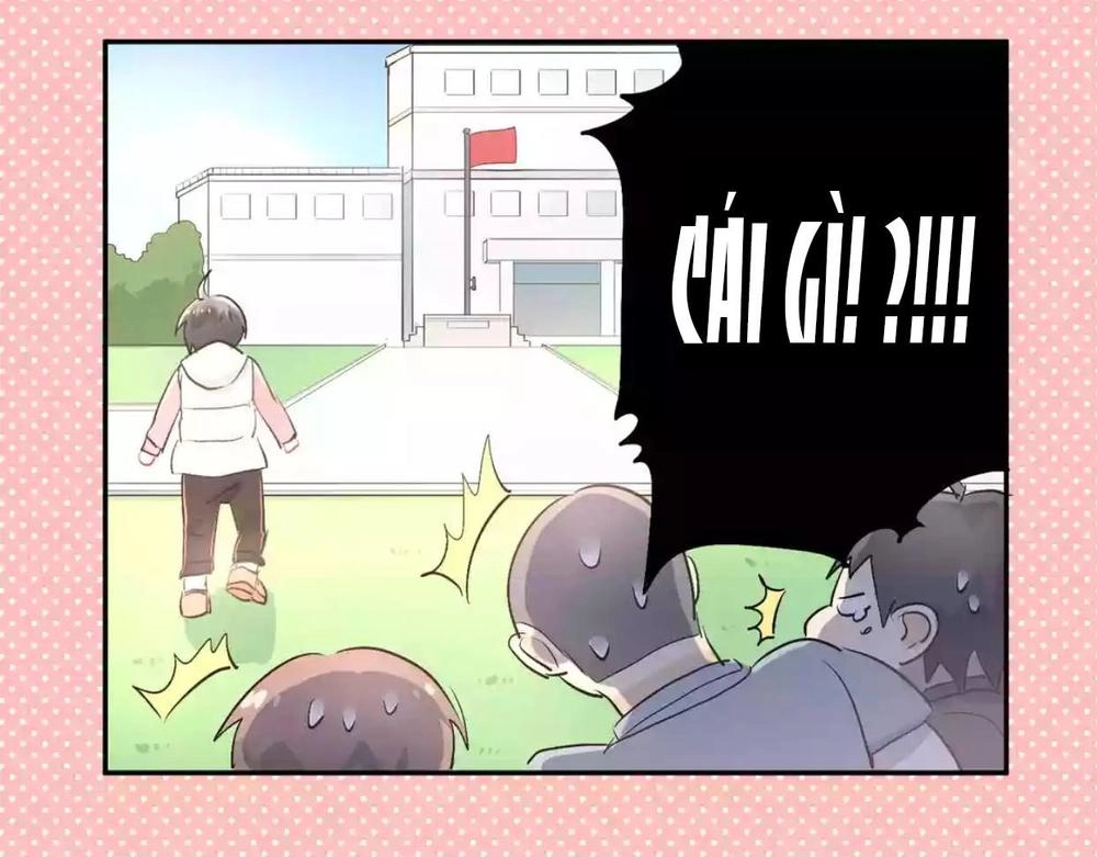 Đầu Gấu Biết Yêu Chapter 6 - 14