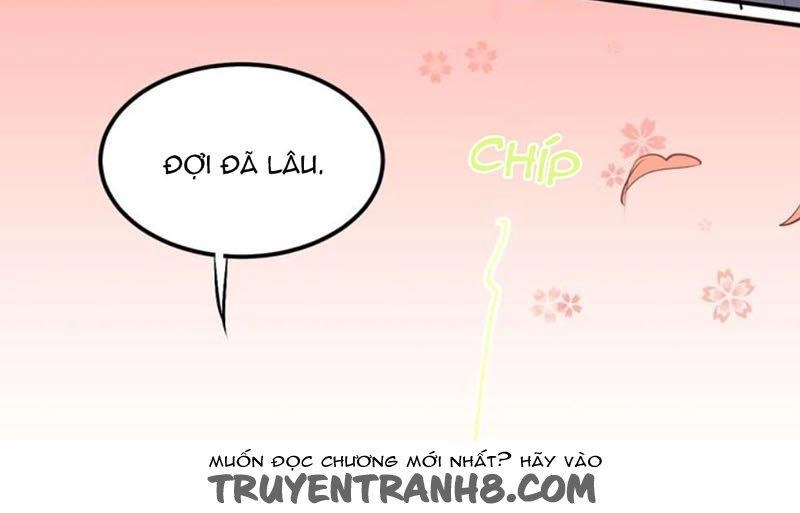 Đầu Gấu Biết Yêu Chapter 31 - 18