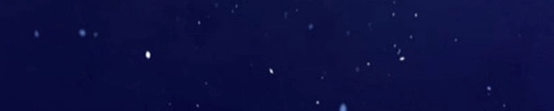 Đầu Gấu Biết Yêu Chapter 84 - 36