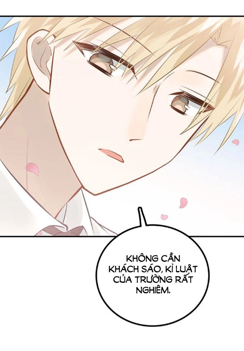 Đầu Gấu Biết Yêu Chapter 103 - 38