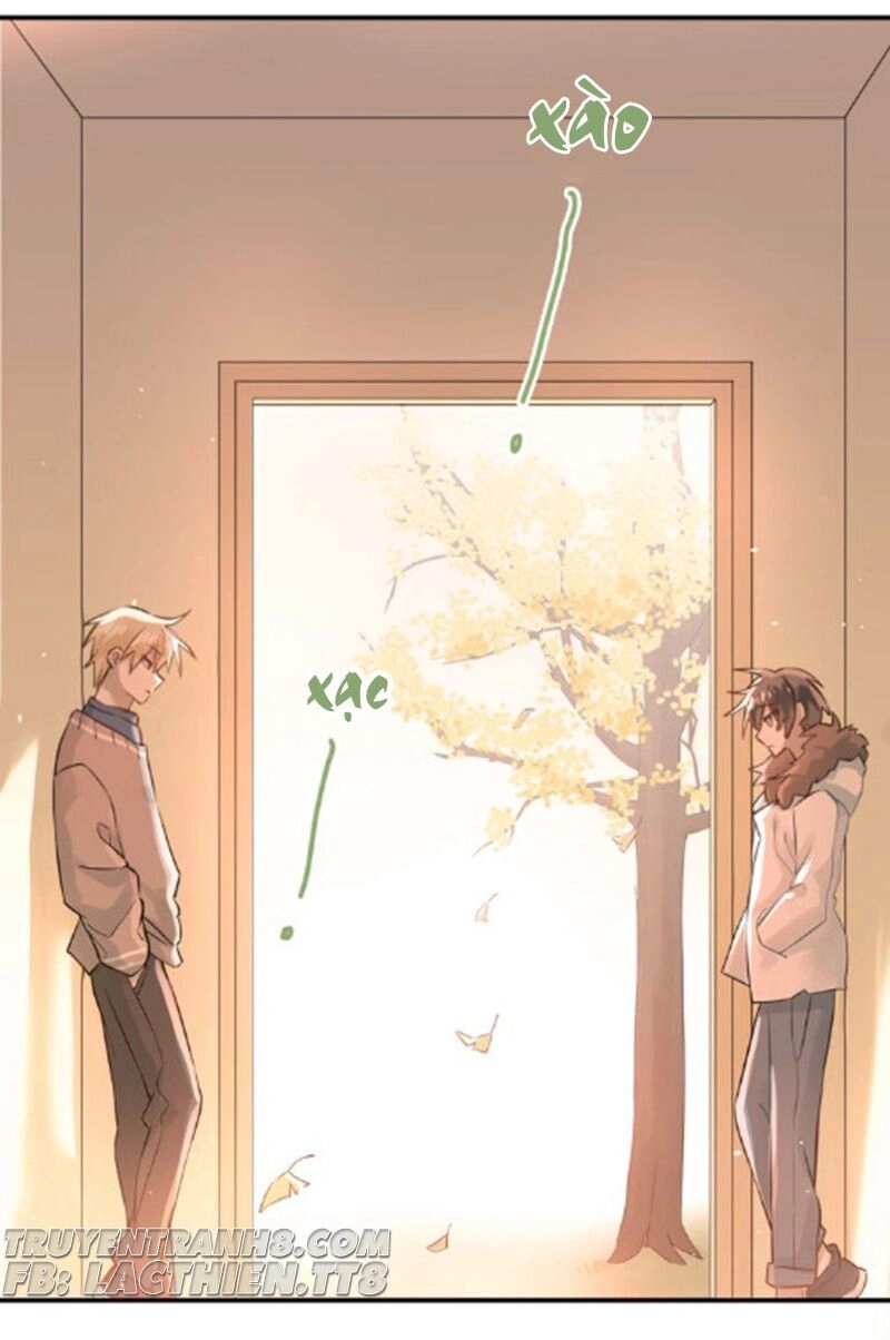 Đầu Gấu Biết Yêu Chapter 105 - 45