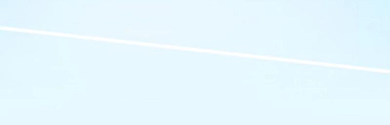 Đầu Gấu Biết Yêu Chapter 111 - 49