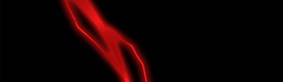 Ma Vương Gian Lận Hệ Thống Chapter 4 - 77