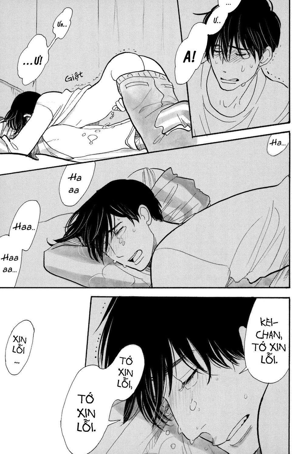 Itoshi No Nekokke - Đường Dài Về Nhà Chapter 4 - 35