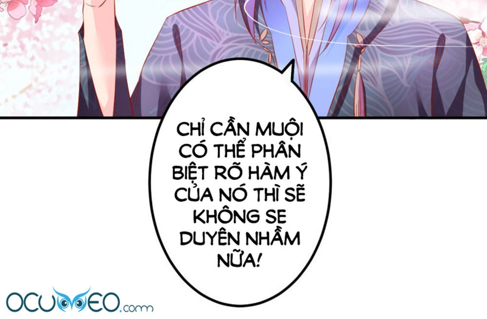 Từ Đây Vương Gia Không Thượng Triều Sớm Chapter 62 - 24