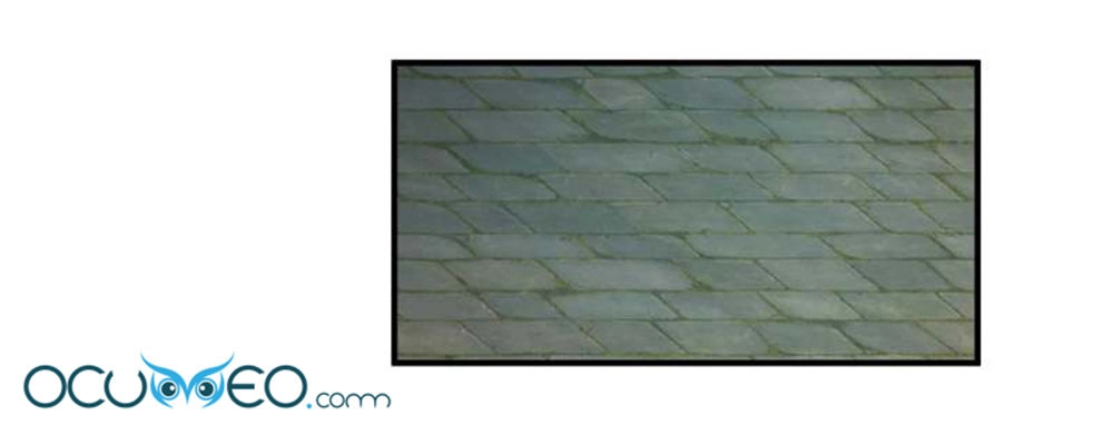 Từ Đây Vương Gia Không Thượng Triều Sớm Chapter 69 - 23