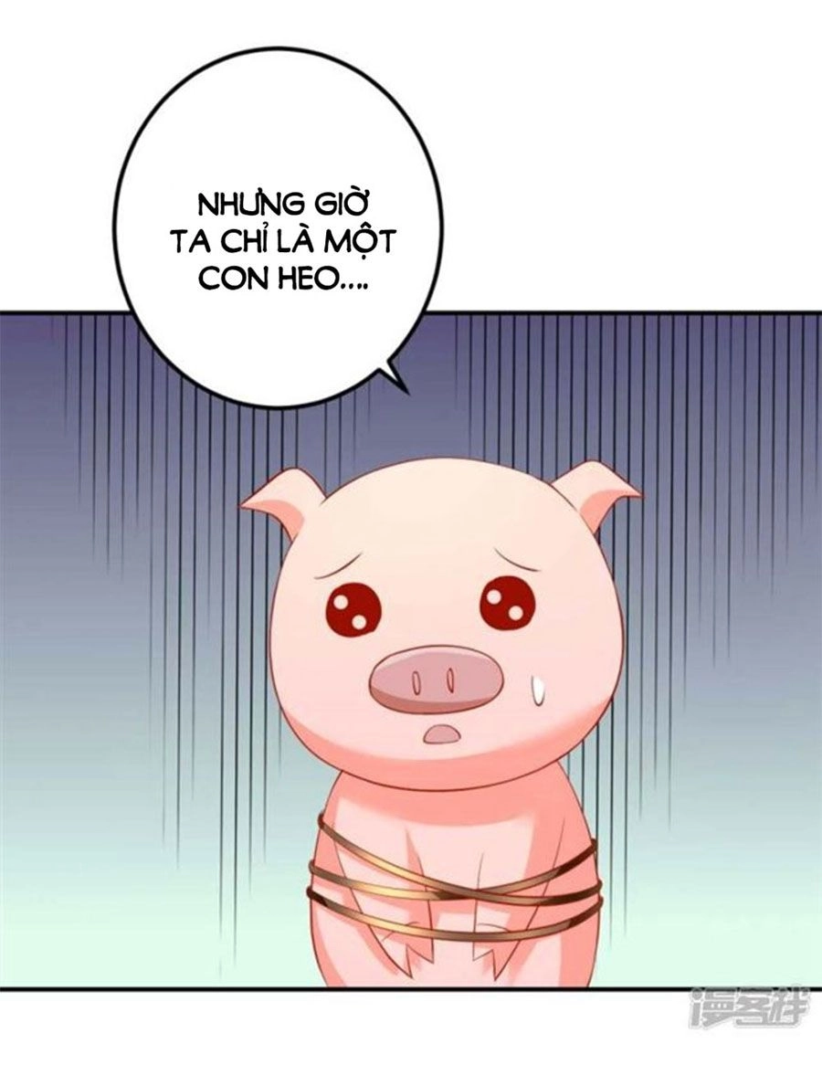 Từ Đây Vương Gia Không Thượng Triều Sớm Chapter 99 - 19