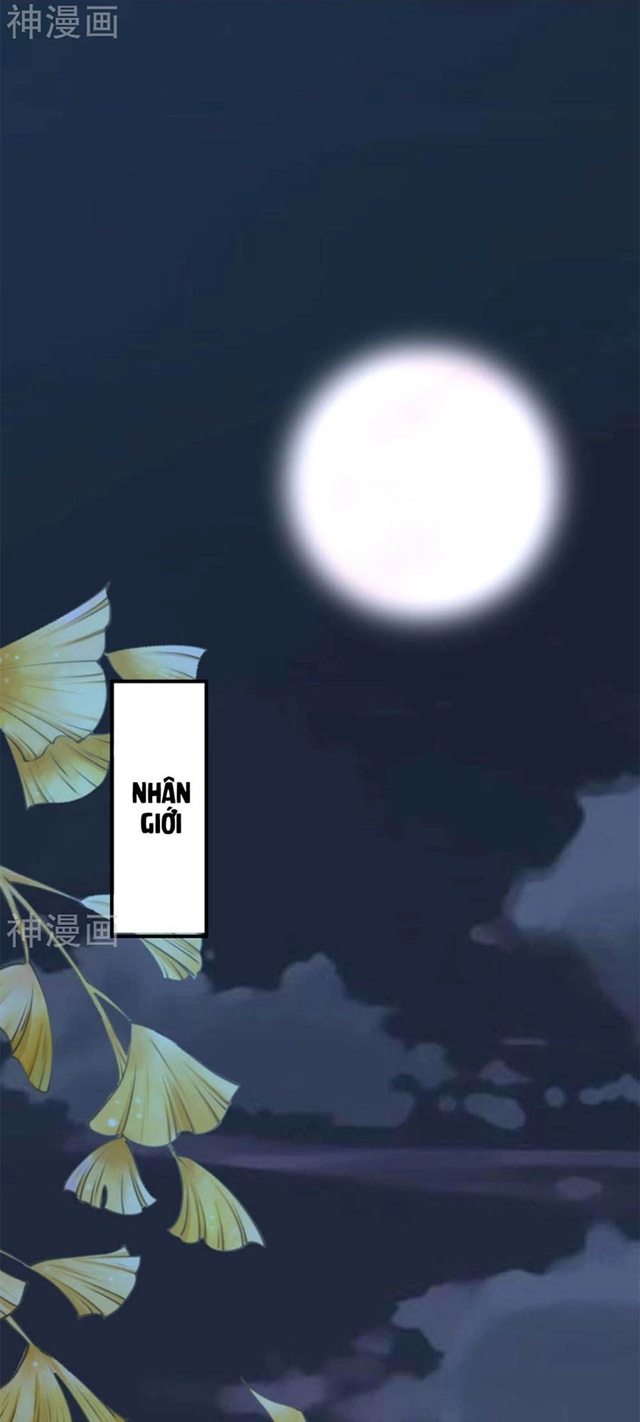 Từ Đây Vương Gia Không Thượng Triều Sớm Chapter 101 - 19