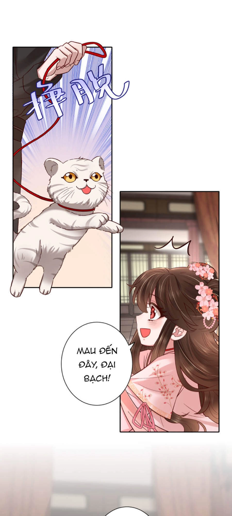 Cách Thức Sinh Tồn Của Pháo Hôi Khuê Nữ Chapter 11 - 11