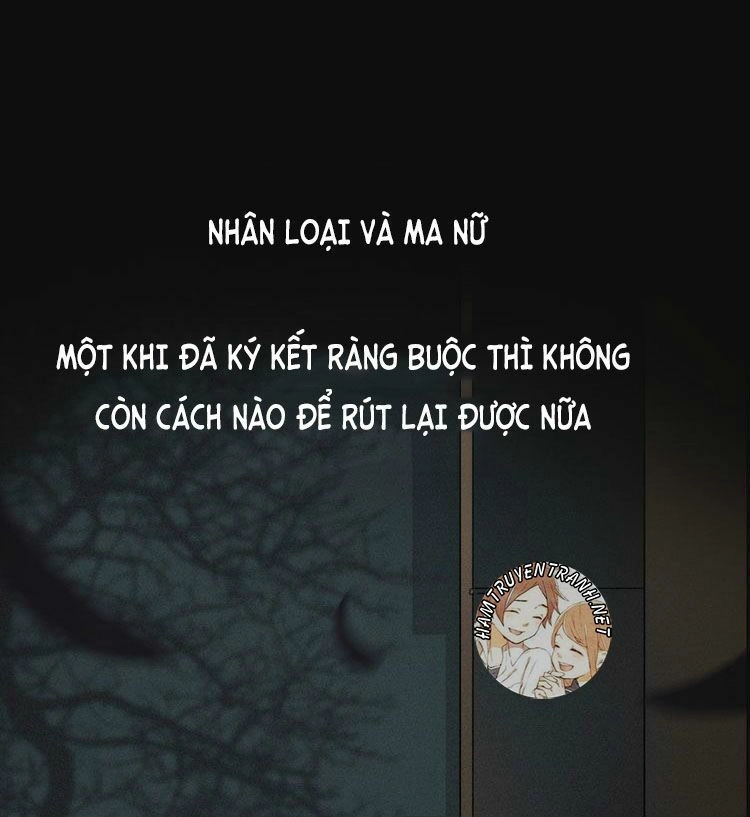 Bí Mật Bóng Đêm Chapter 1 - 12