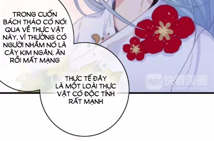 Dữ Tử Thành Thuyết Chapter 25 - 34