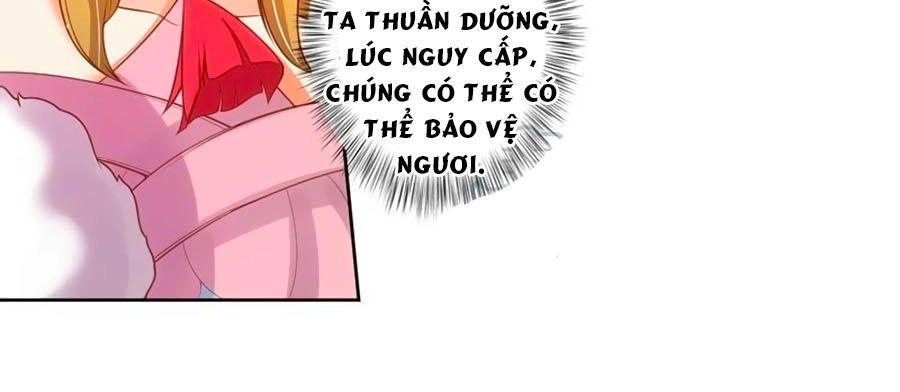 Thanh Khâu Nữ Đế: Phu Quân Muốn Tạo Phản Chapter 72 - 4