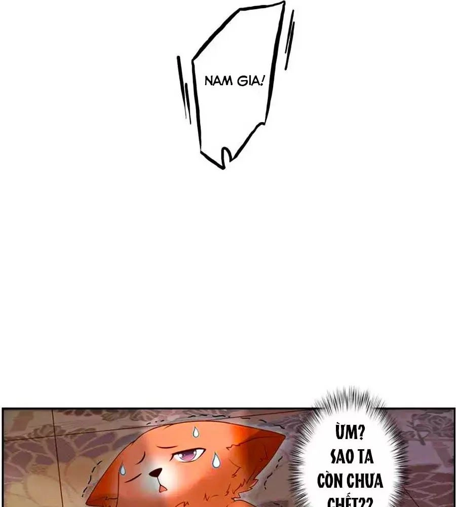 Thanh Khâu Nữ Đế: Phu Quân Muốn Tạo Phản Chapter 113 - 12