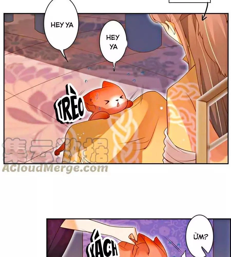 Thanh Khâu Nữ Đế: Phu Quân Muốn Tạo Phản Chapter 113 - 23