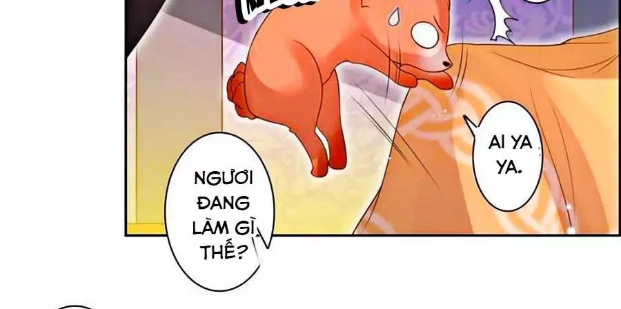 Thanh Khâu Nữ Đế: Phu Quân Muốn Tạo Phản Chapter 113 - 24