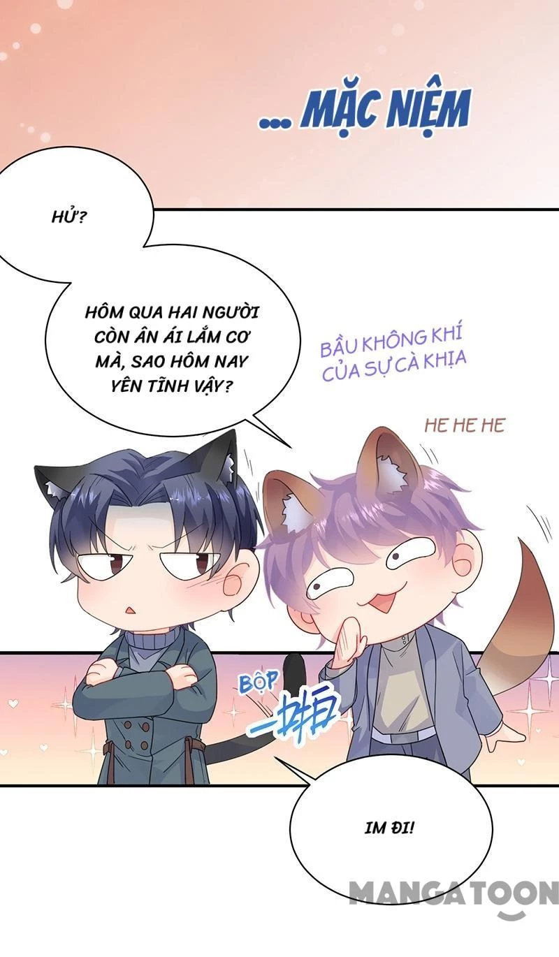 Chọc Tới Chủ Tịch Tổng Tài 2 Chapter  102 - 17