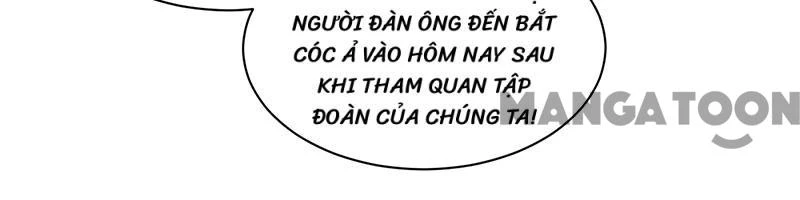 Chọc Tới Chủ Tịch Tổng Tài 2 Chapter  105 - 12