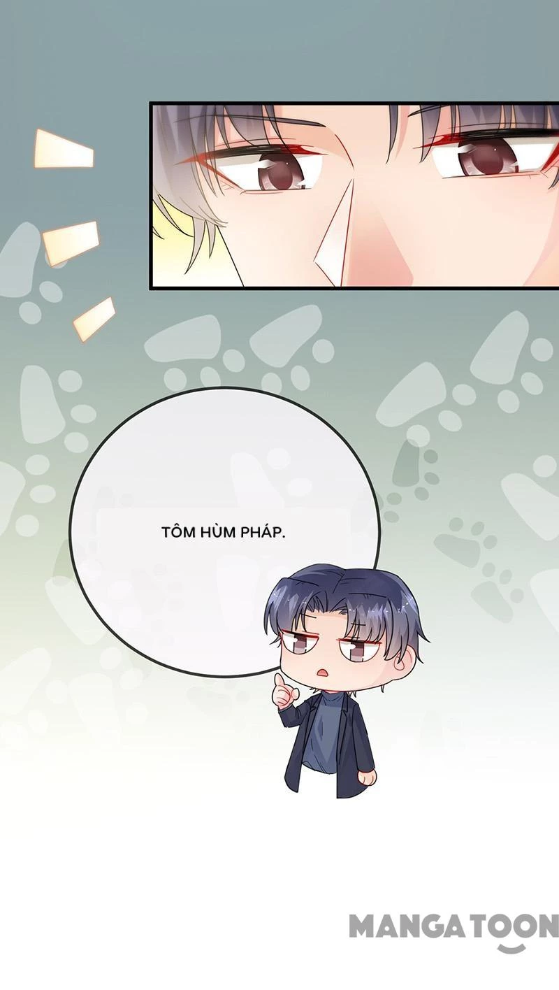 Chọc Tới Chủ Tịch Tổng Tài 2 Chapter  149 - 25