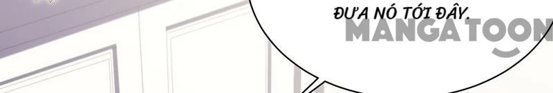 Chọc Tới Chủ Tịch Tổng Tài 2 Chapter  230 - 17