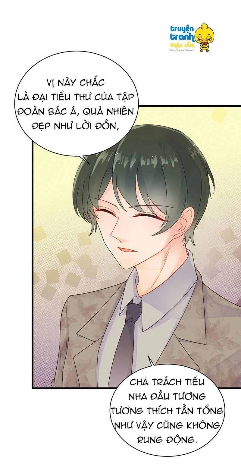 Chọc Tới Chủ Tịch Tổng Tài 2 Chapter 48 - 6