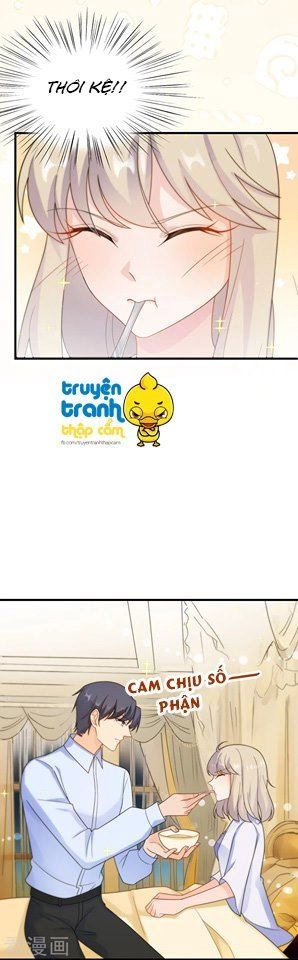 Chọc Tới Chủ Tịch Tổng Tài 2 Chapter 67 - 15