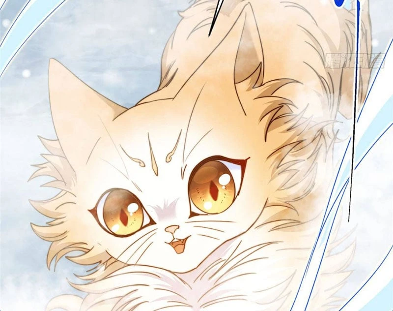 Chưởng Môn Khiêm Tốn Chút Chapter 589 - 51