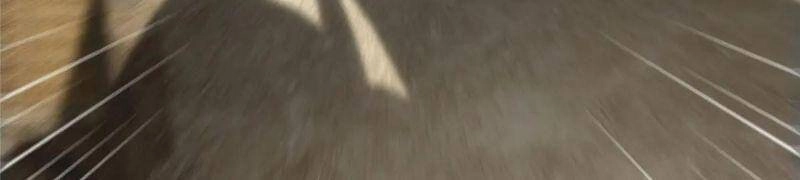 Chưởng Môn Khiêm Tốn Chút Chapter 63 - 16