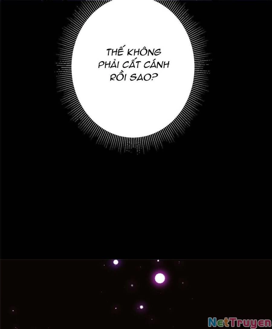 Chưởng Môn Khiêm Tốn Chút Chapter 129 - 64