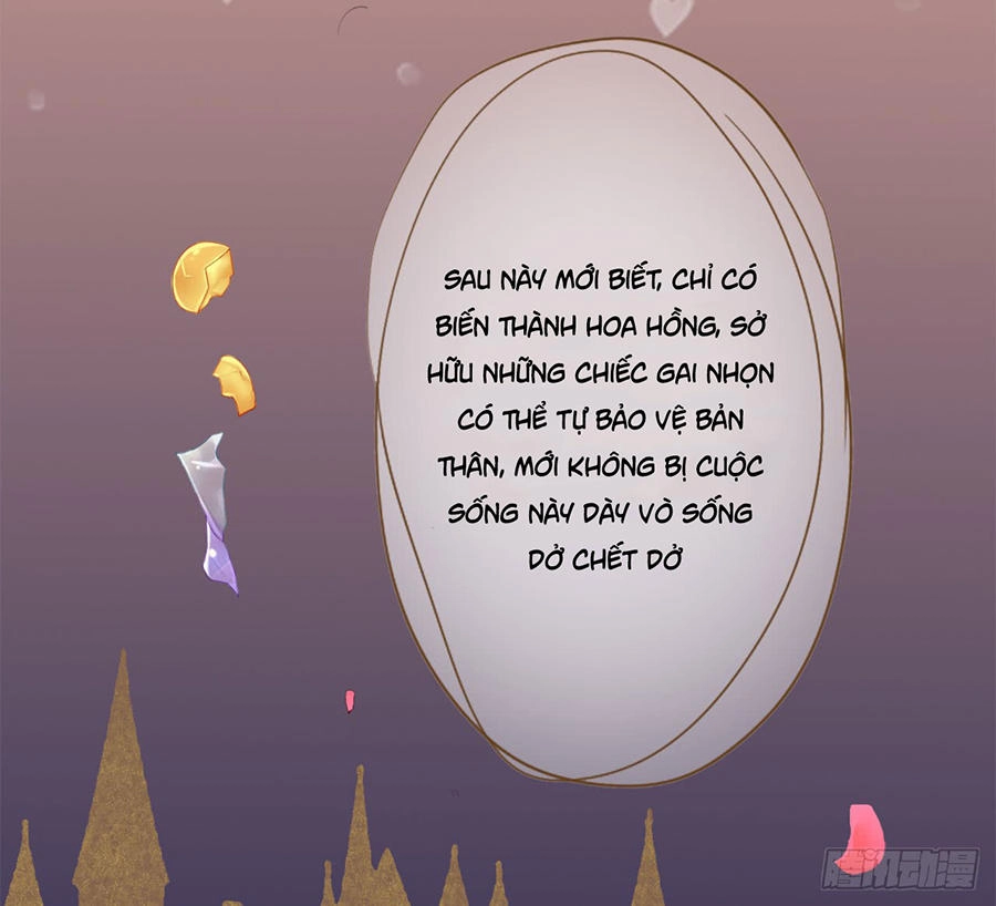 Ngạo Kiều Tổng Tài Sủng Điềm Thê Chapter 2 - 3