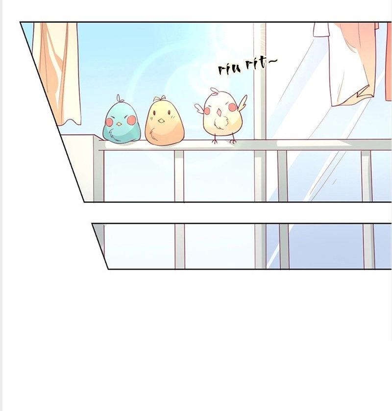 Ngạo Kiều Tổng Tài Sủng Điềm Thê Chapter 17 - 10