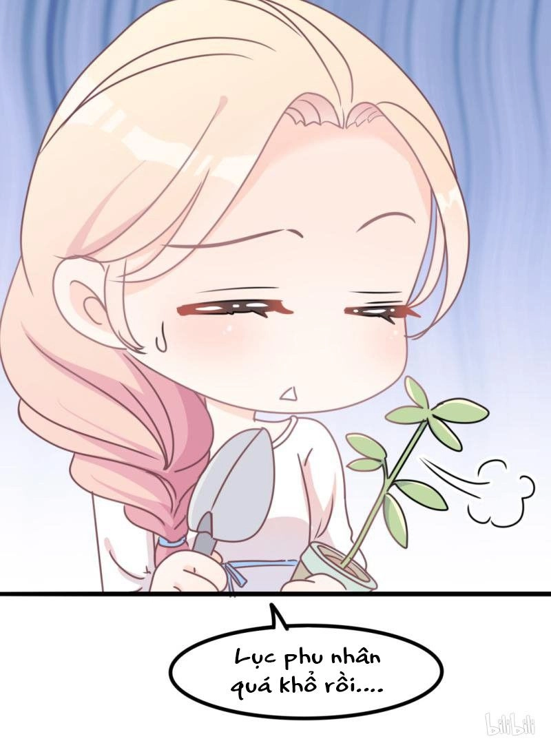 Ngạo Kiều Tổng Tài Sủng Điềm Thê Chapter 35 - 8