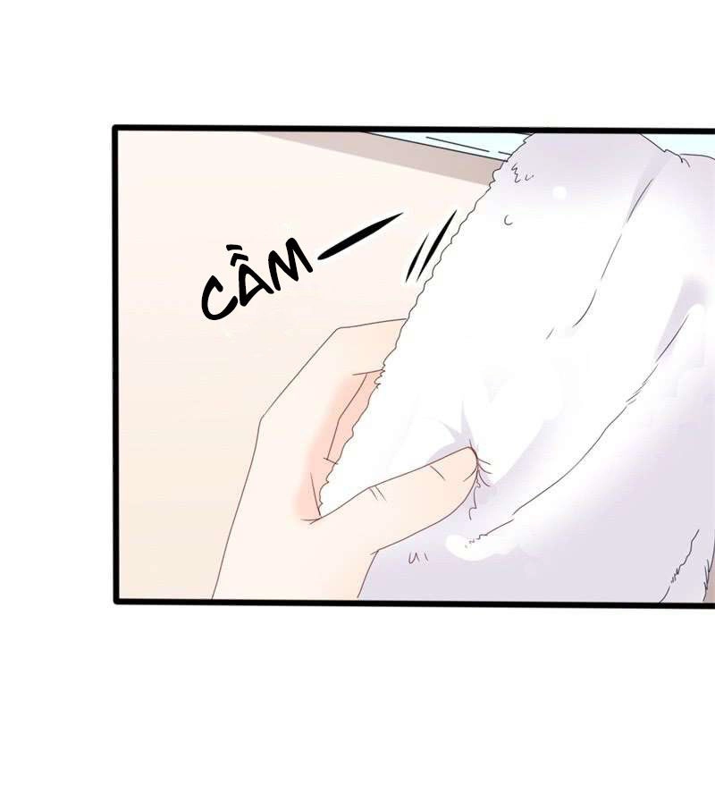 Ngạo Kiều Tổng Tài Sủng Điềm Thê Chapter 36 - 5