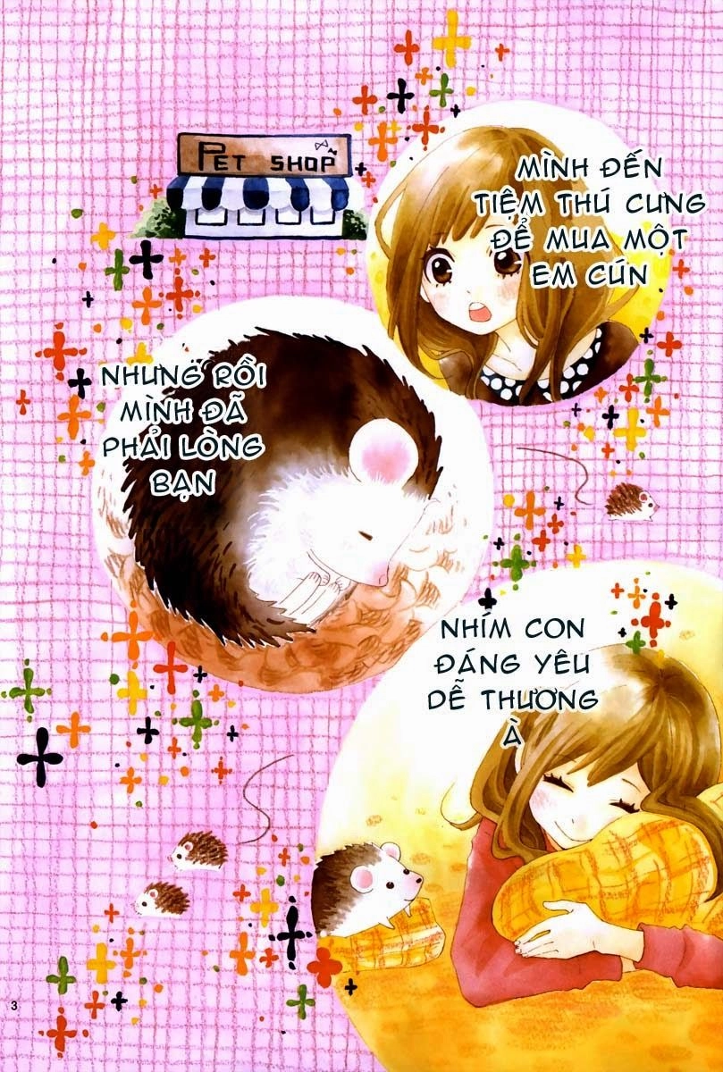 Koisuru Harinezumi Chapter 1 - 4