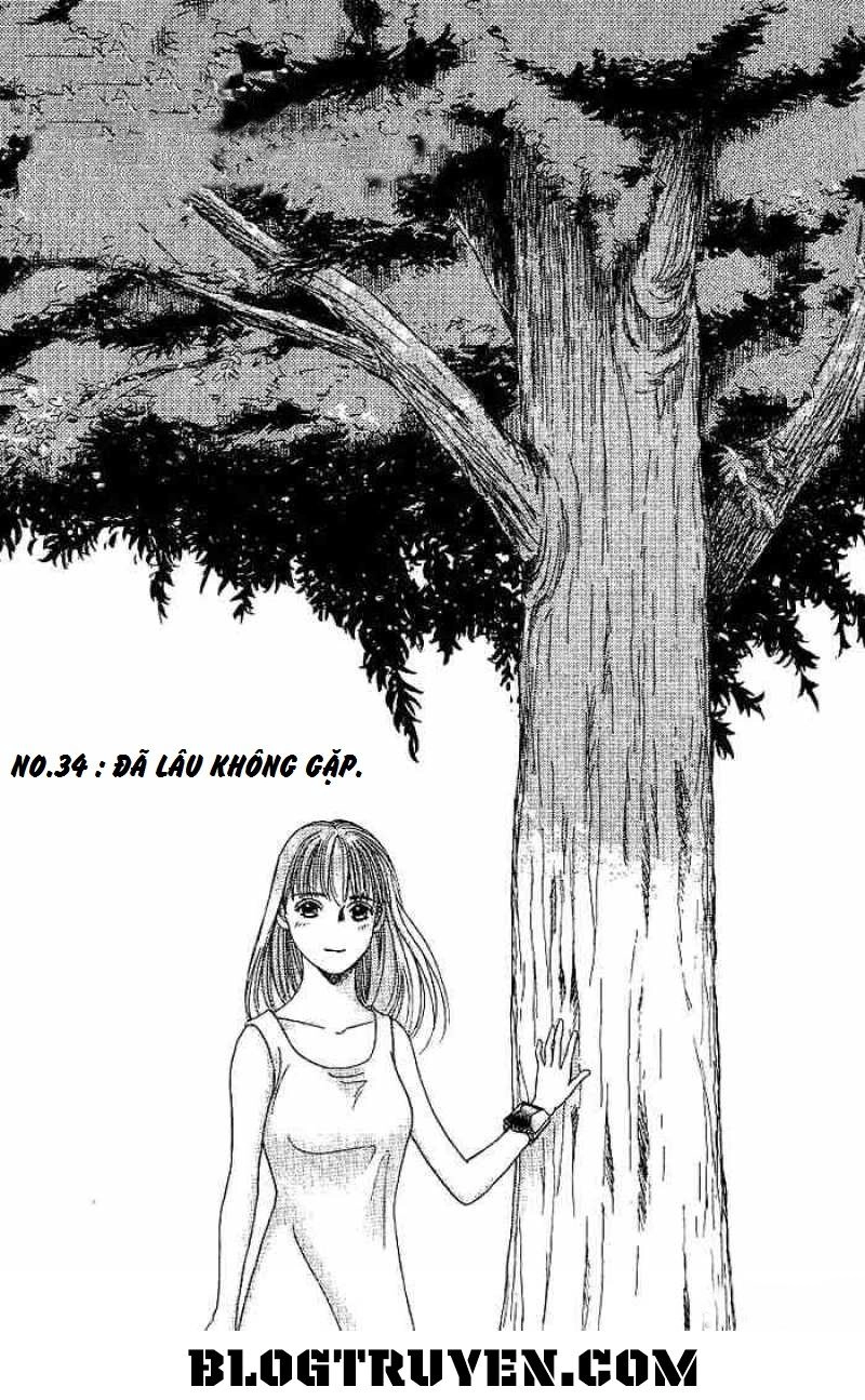 B-Shock Chapter 34 - 3