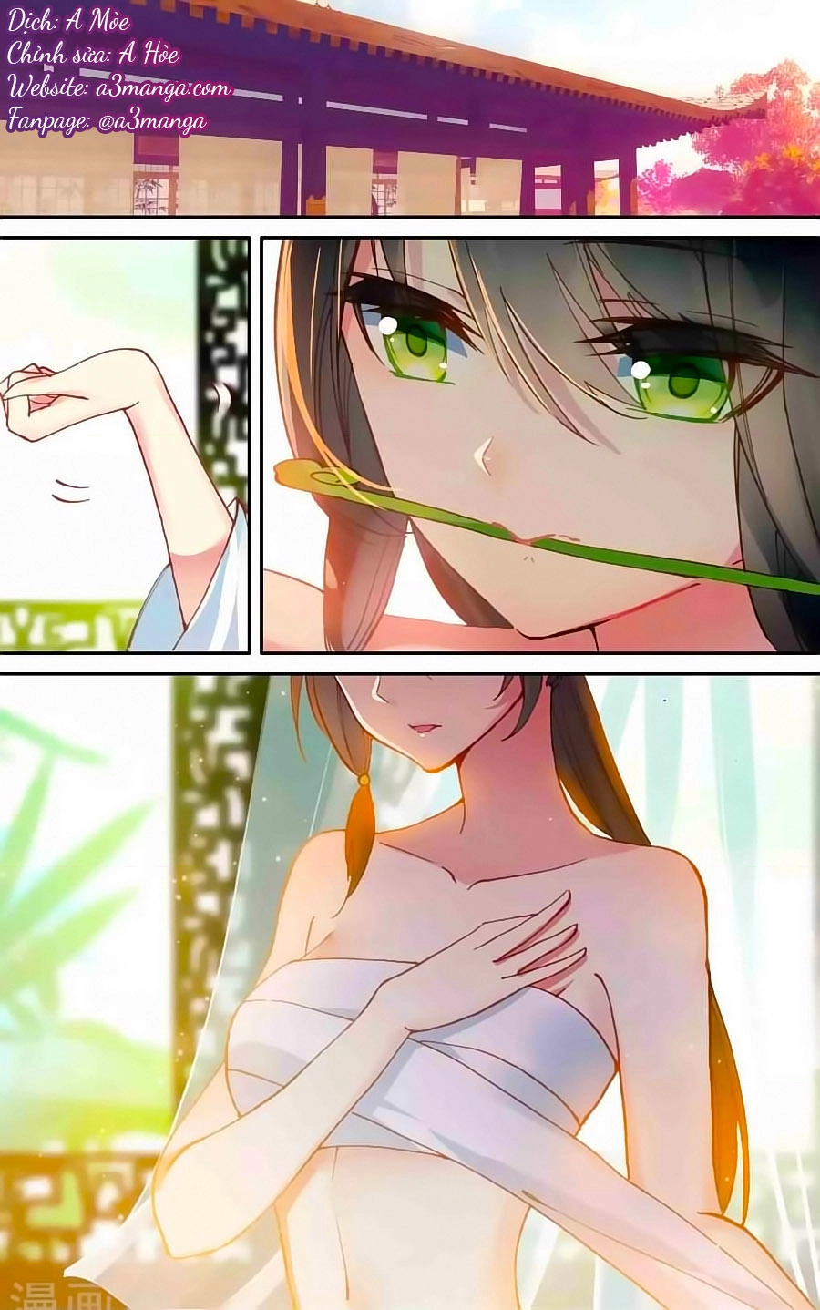 Trâm Trung Lục Chapter 43.2 - 2