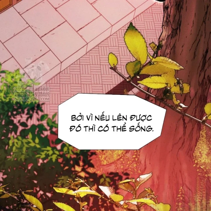 Chuyển Sinh Vào Thế Giới Võ Lâm Chapter 174 - 67