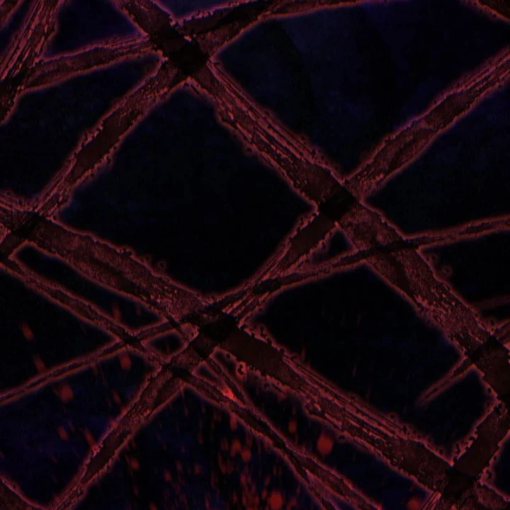 Chuyển Sinh Vào Thế Giới Võ Lâm Chapter 176 - 74