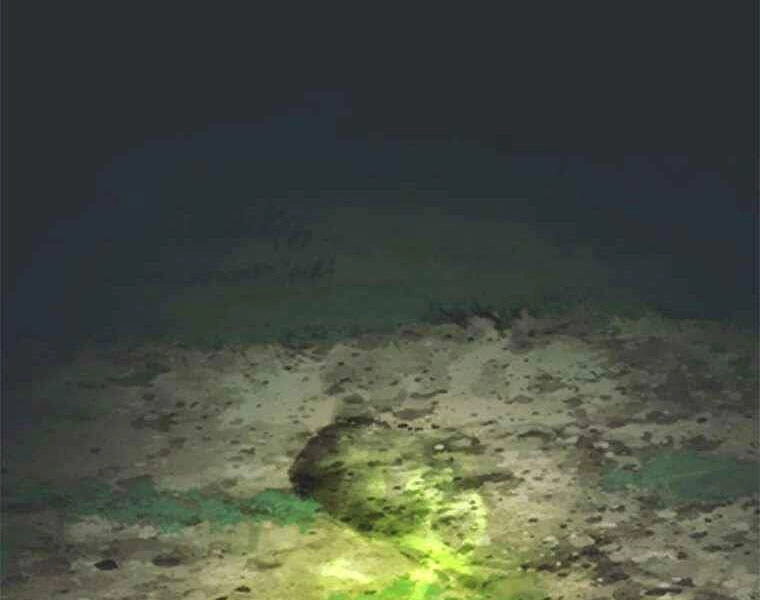 Vua Thăng Cấp Chapter 105 - 4