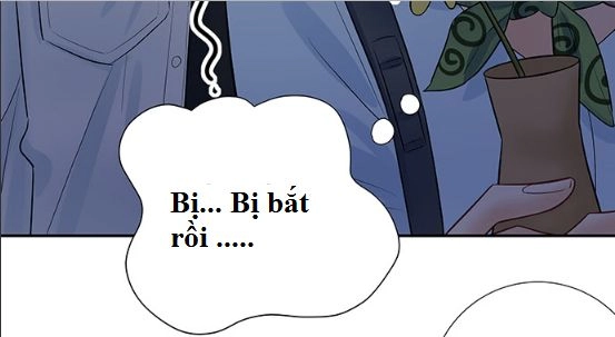 Trọng Sinh Để Ngủ Với Ảnh Đế Chapter 142 - 8