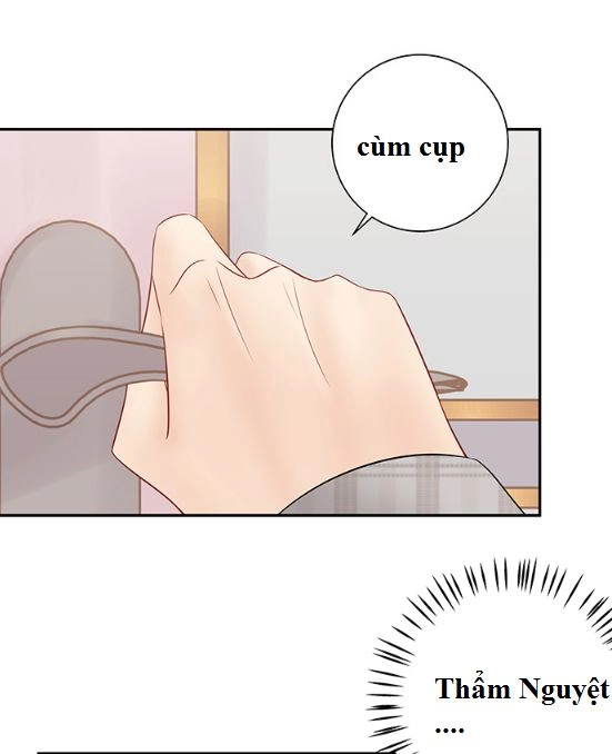 Trọng Sinh Để Ngủ Với Ảnh Đế Chapter 168 - 19