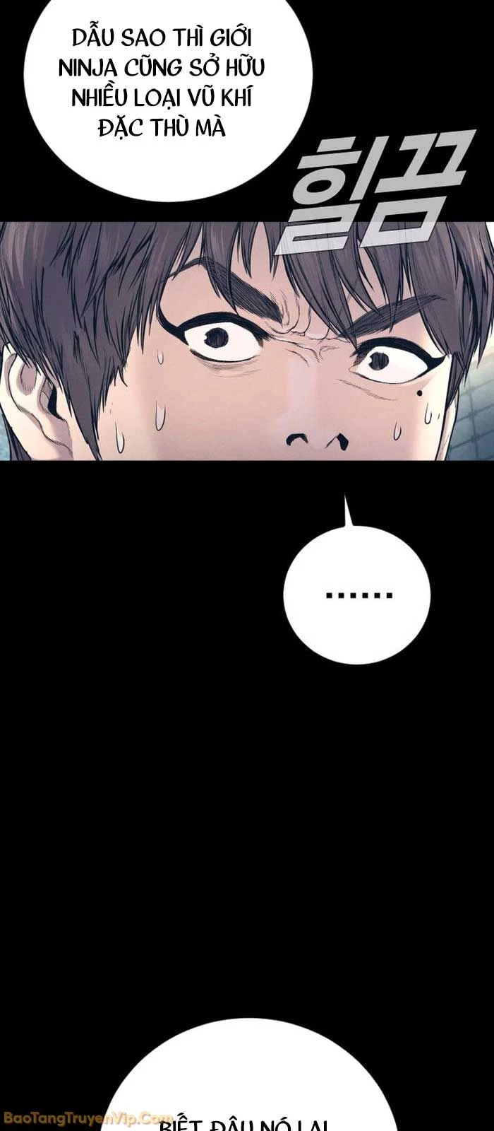 Bố Tôi Là Đặc Vụ Chapter 222 - 51