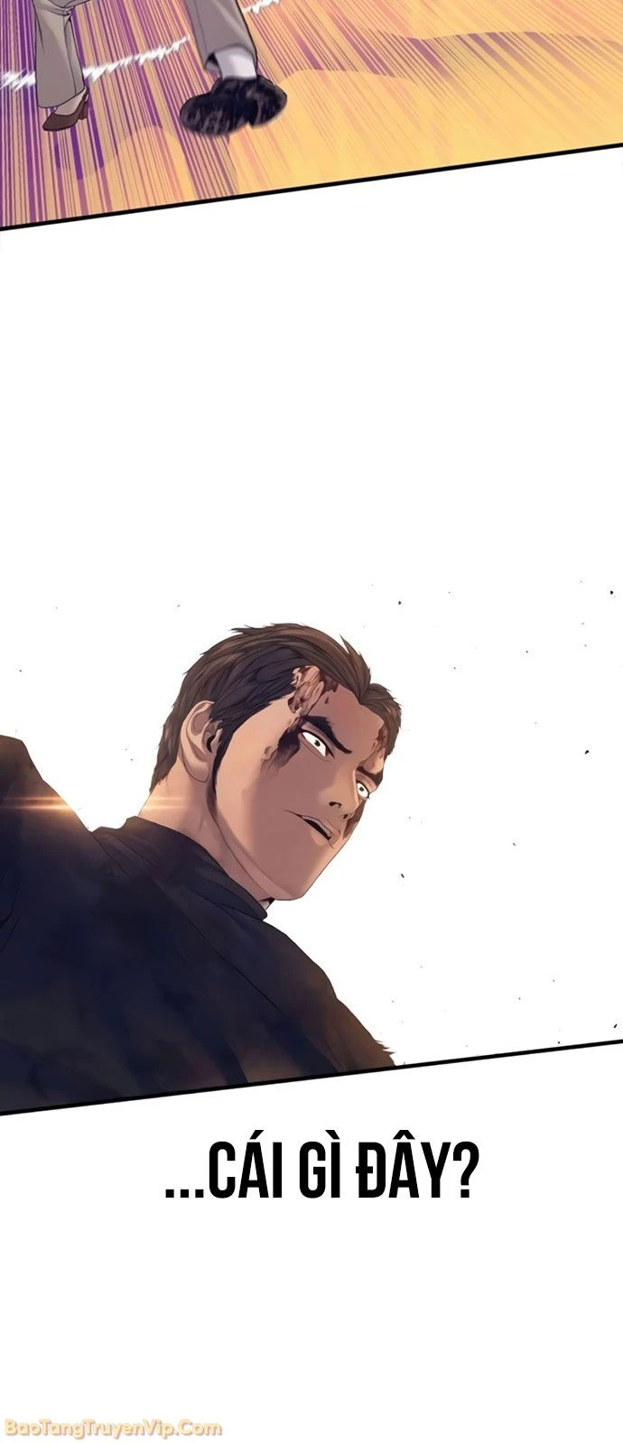 Bố Tôi Là Đặc Vụ Chapter 227 - 97