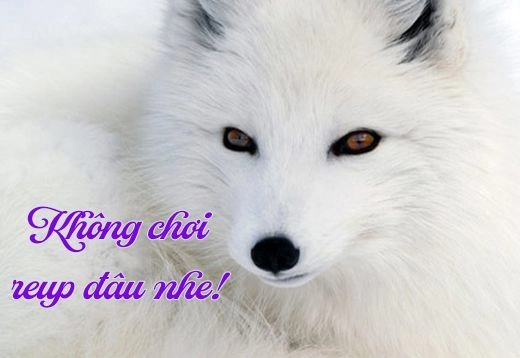 Ookami He No Yomeiri Chapter 2 - 23