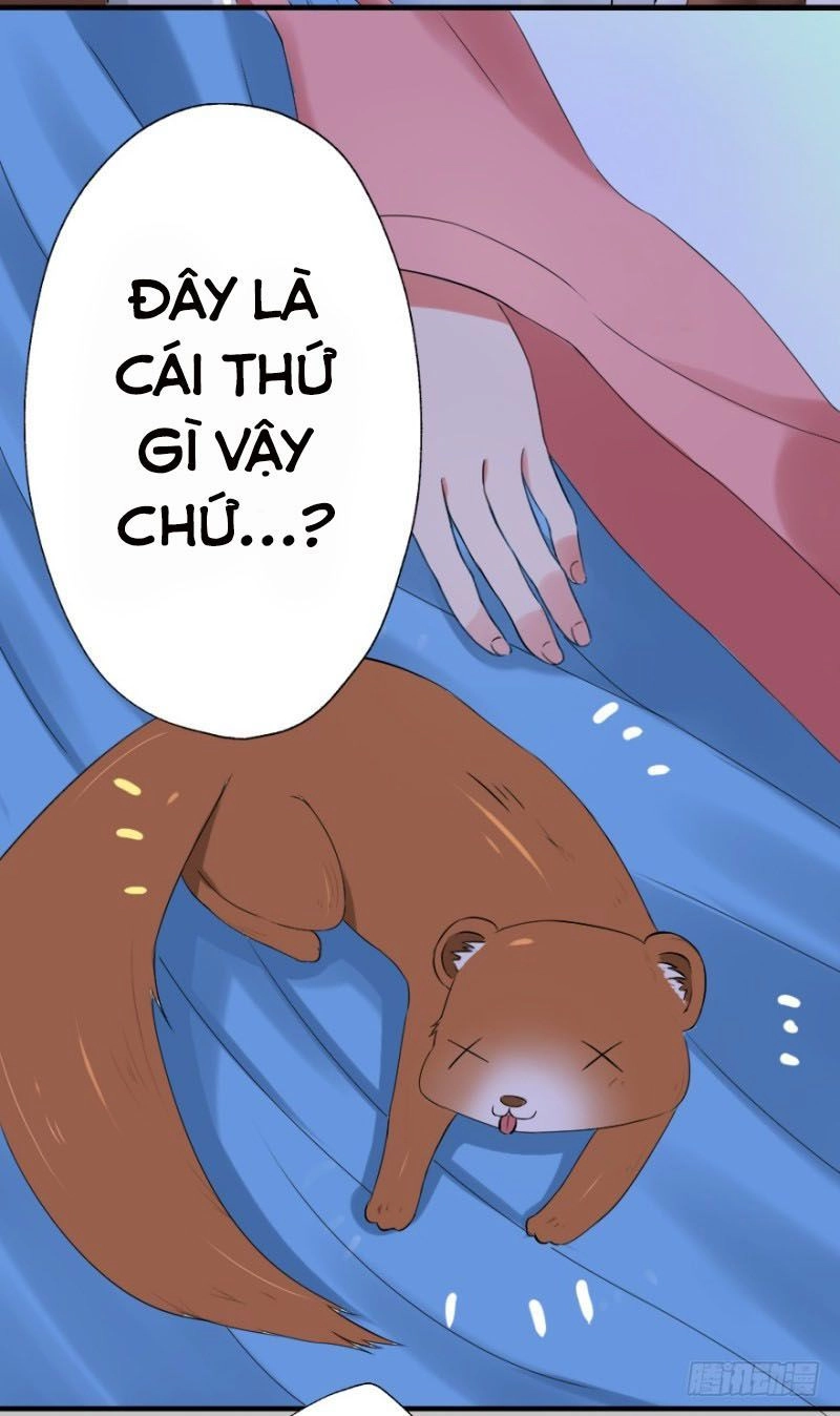 Hành Trình Sủng Đế Cơ Chapter 1 - 58